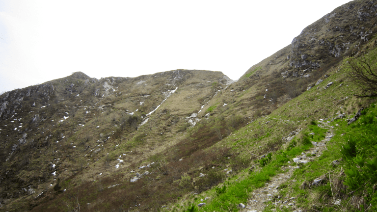 Photo 20-05-12 12 57 28