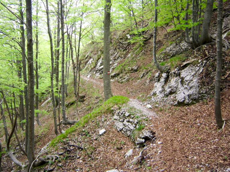 Photo 20-05-12 14 10 46