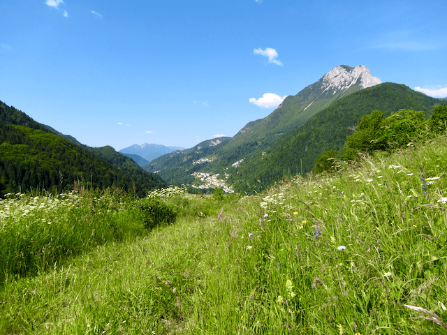 Photo 30-05-12 09 57 22.png