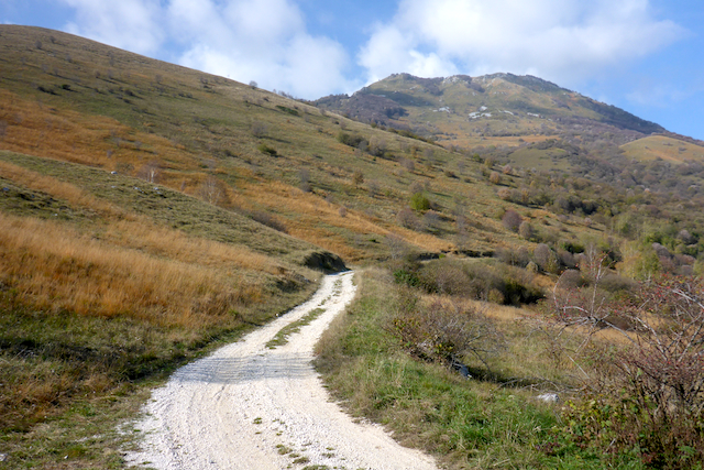 2013-11-01 13.10.15 copy