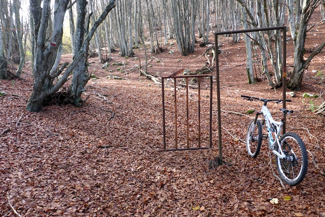 2013-11-01 13.52.50 copy