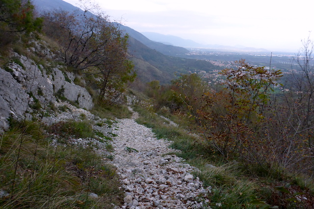 2013-11-01 16.33.25-1 copy