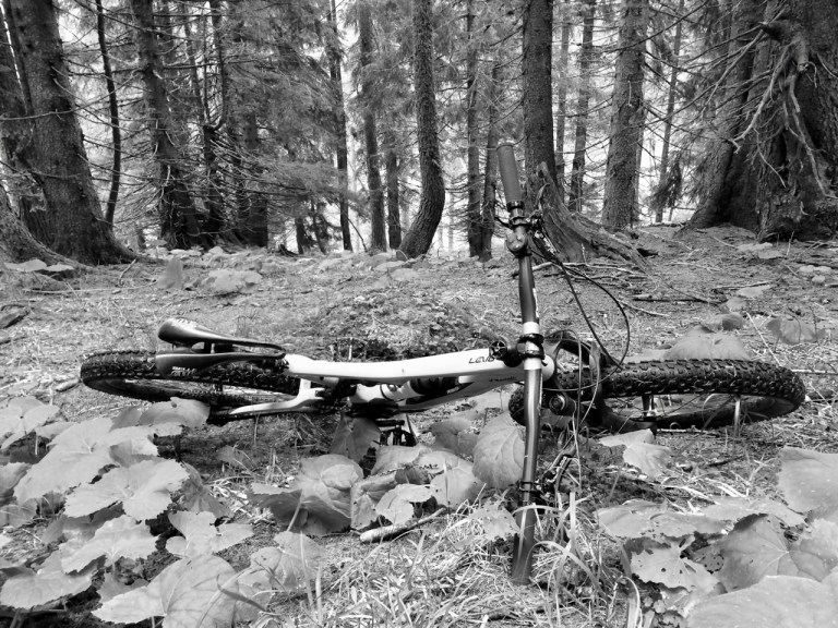 66BEC7EB-DE29-494D-AB96-0B7CBEDCED65-1263-0000014A382DCF15