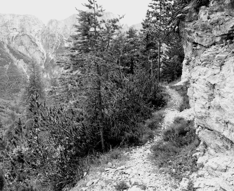 AEBFBC16-E90B-4997-A902-BD13B68BEEDE-1263-000001687BA07395